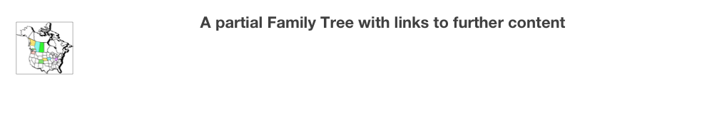 A partial Family Tree with links to further content  ￼
